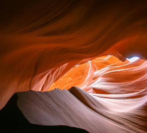 uit de diepte reiken naar het licht © unsplash