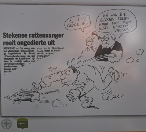 Cartoon over de rattenvanger van Stekene 