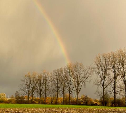 regenboog © Christine Vandenabeele