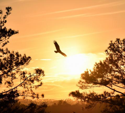 Nieuw Testament © Sam Bark