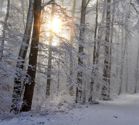 3e Zondag van de Advent - zondag 14 december 2025 © snow-4668099_1280_pixabay.jpg