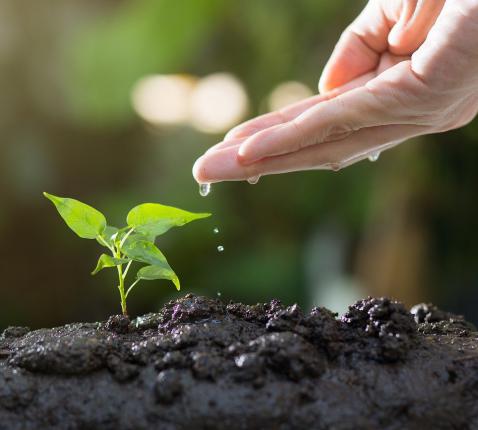 Symposium 'Ecologie en spiritualiteit' © Pixabay