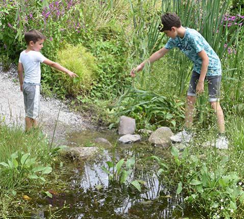 14 foto's en tips om van je tuin een sponstuin te maken © Lannoo (Zakboek voor de sponstuin), met toestemming