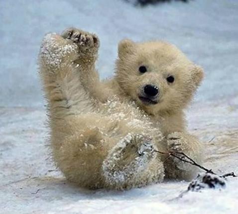 I’M DREAMING OF A WHITE CHRISTMAS! © Schermafbeelding