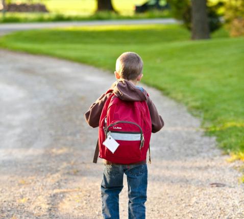 school © Pixabay gratis