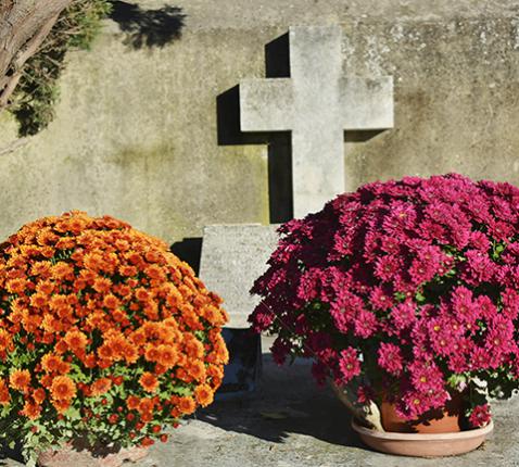 Allerheiligen - Allerzielen © Pixabay - 3793727 - Toussaint