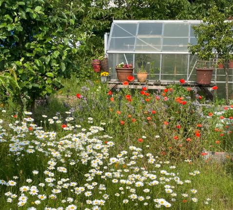 Een natuurvriendelijke tuin is een klimaatslimme tuin © Leo Maes