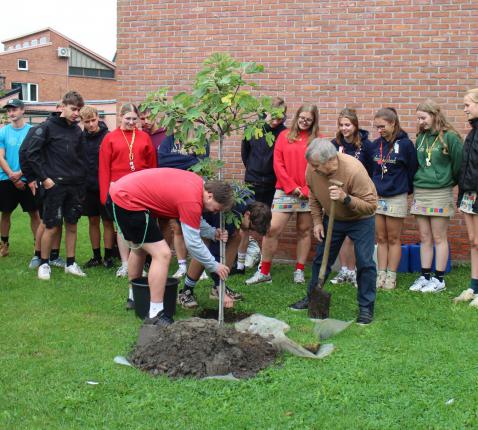 De vijgenboom wordt geplant © RvH