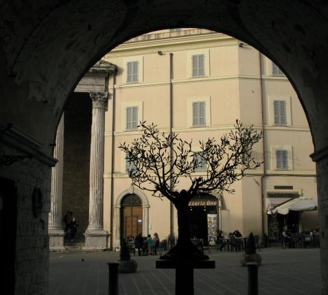 assisi © koen