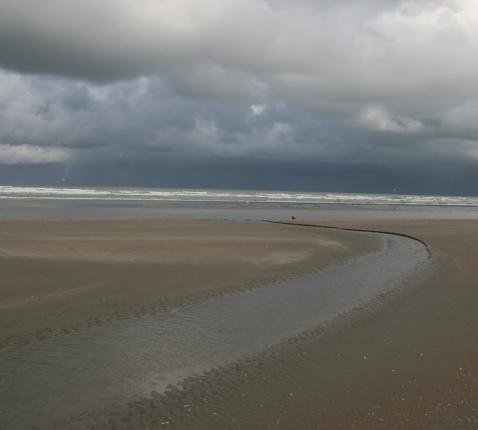 je wandelt nooit alleen © Pastorale Eenheid O.L.V. Krekedal Kortemark