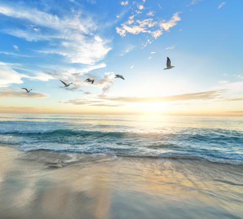 God in het begin en op het einde... © unsplash Frank McKenna