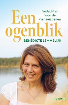 ogenblik 