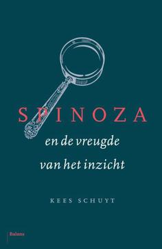 en de vreugde van het inzicht 