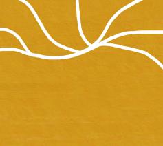 De onthulling van het zelf 