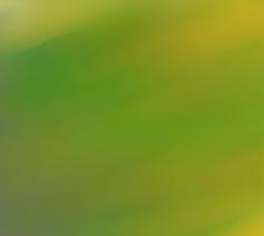 De onvoorwaardelijke wijs 