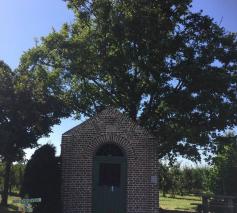 Sint-Odulfuskapel, Booienhoven 