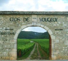 'Clos de Vougeot', de beroemde wijngaard in de Bourgogne. © Wikipedia