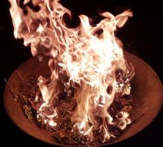 Verbranding van de oude palm  © hc