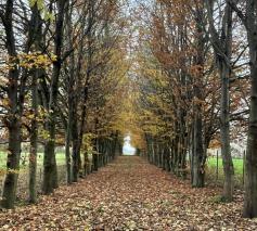 De weg van alle heiligen gaan: sterven aan zichzelf, en het licht blijven zien dat in de verte gloort.  © jh