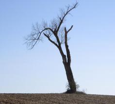 Naakt en kwetsbaar in weer en wind. Beeld van onze kwetsbaarheid? © rh
