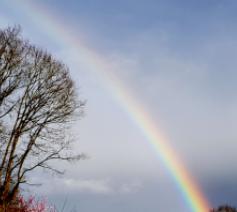 Pasen… regen buigt voor zonneschijn!  © Hugo Casaer