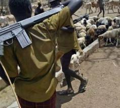 Gewapende Fulani-herders. © Fides