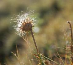 Toerisme moet steeds de ontwikkeling van elke mens en hele mens voor ogen houden © Philippe Keulemans