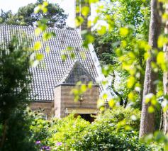 Groene tips !! 