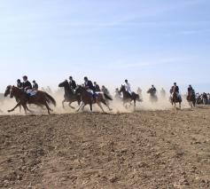 De paardengalop op de Tiense berg © Paardenprocessie Hakendover