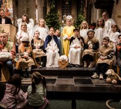 Herdertjesmis © Flipke Nuyttens Photography