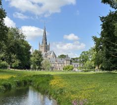 Basiliek vanuit het bos © bedevaarten