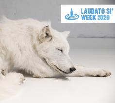 De Laudato Si' Week markeert het 5-jarig bestaan van de gelijknamige encycliek over de 'ecologische bekering'. © Exponanza / Kerknet