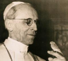 Paus Pius XII © Archiefbeeld/Vatican Media