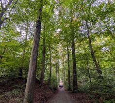 Bedevaart van Leuven naar de Onze-Lieve-Vrouw van Steenbergenkapel © Pastorale zone Leuven aan de Dijle