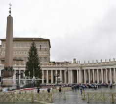 Het Sint-Pietersplein © Vatican Media