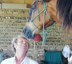 Rik Delameillieure en Hercule. 