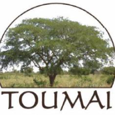 Toumaï