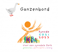 Tegel ganzenbord synodaal proces © Bisdom Hasselt