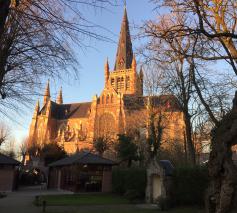 basiliek vanuit rosarium © bedevaarten