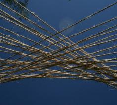 Verbondenheid. © Danny Maenhaut