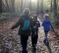 Wandelen in de natuur, misschien wel de meest opvallende en gezinsverbindende activiteit van het voorbije jaar.  © Hans Medart