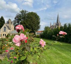 basiliek vanuit Huis Dewitte © bedevaartsoord