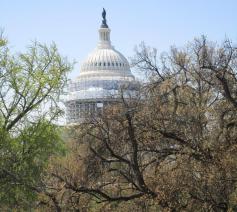 Het Capitool in Washington © WCC