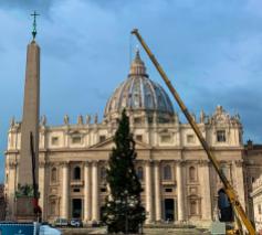 De kerstboom komt dit jaar uit Noord-Italië © Vatican Media