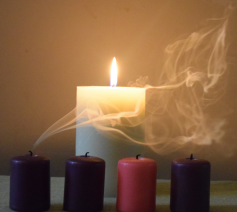 Lichthappers © Hilde Pex