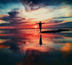 bidden © unsplash