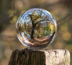 In de encycliek Laudato Si vroeg de paus aandacht voor het milieu © Pexels