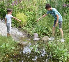 14 foto's en tips om van je tuin een sponstuin te maken © Lannoo (Zakboek voor de sponstuin), met toestemming