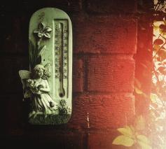 Nu de temperatuur daalt © cc Pixabay