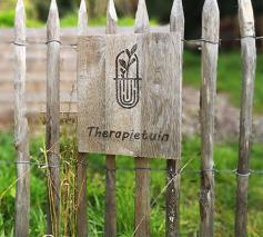 Tuintherapie © Sim D'Hertefelt